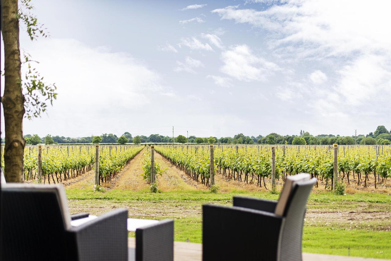 Tinwood Estate Vineyard Lodges Chichester Exterior foto